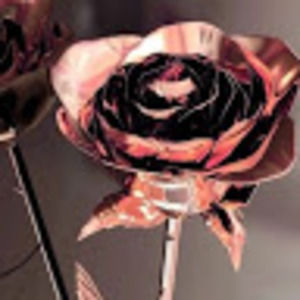 Meet your Posher, Nigeria